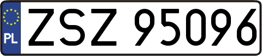 ZSZ95096