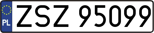 ZSZ95099