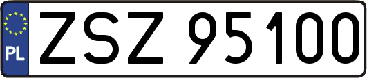 ZSZ95100