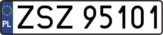 ZSZ95101
