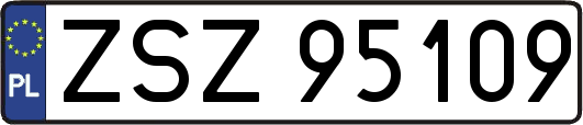 ZSZ95109