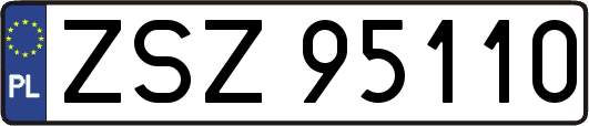 ZSZ95110