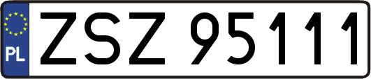 ZSZ95111