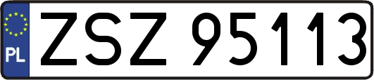 ZSZ95113