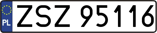 ZSZ95116