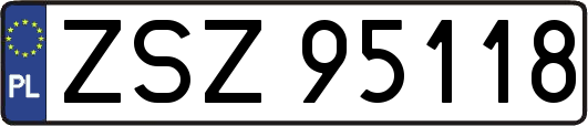 ZSZ95118