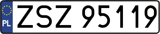 ZSZ95119