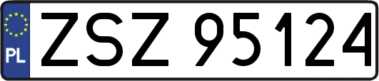 ZSZ95124