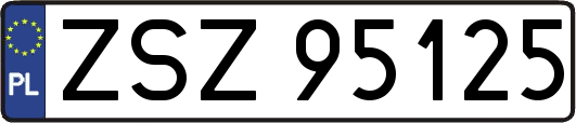 ZSZ95125