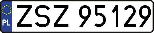 ZSZ95129