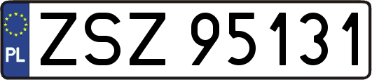 ZSZ95131