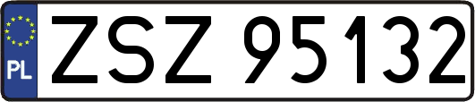 ZSZ95132