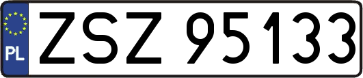 ZSZ95133