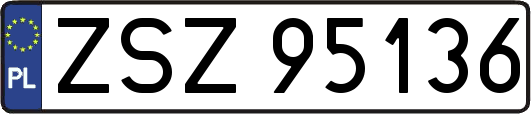 ZSZ95136