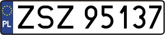 ZSZ95137