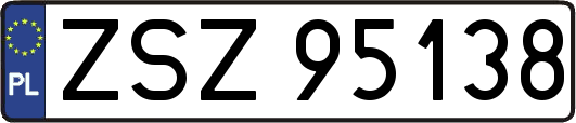 ZSZ95138