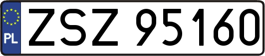 ZSZ95160