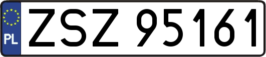 ZSZ95161