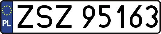 ZSZ95163