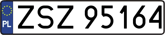 ZSZ95164