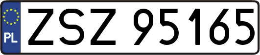 ZSZ95165