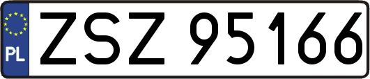 ZSZ95166