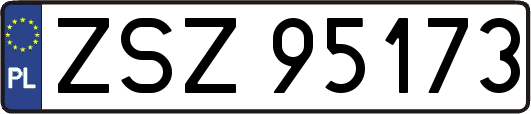 ZSZ95173