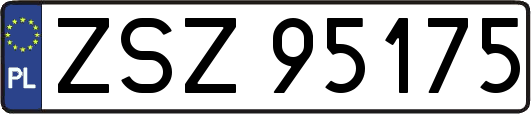 ZSZ95175