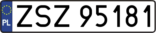 ZSZ95181