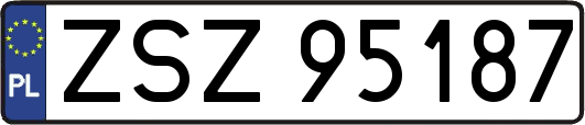 ZSZ95187