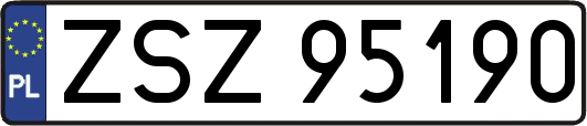 ZSZ95190
