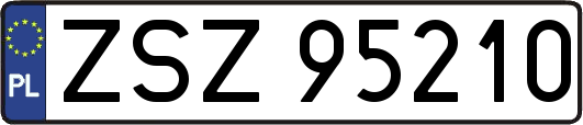 ZSZ95210