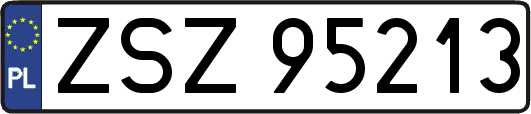 ZSZ95213