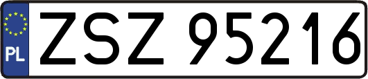 ZSZ95216