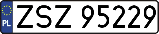 ZSZ95229