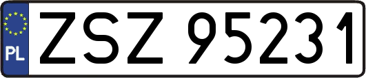 ZSZ95231