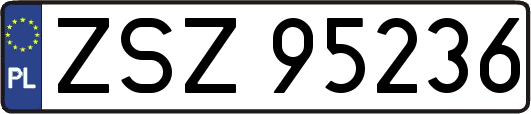 ZSZ95236