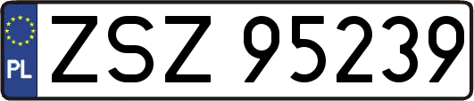 ZSZ95239