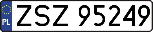 ZSZ95249