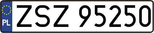 ZSZ95250