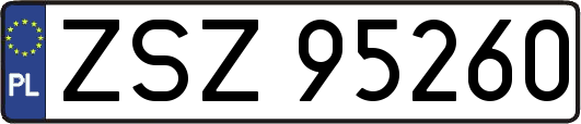 ZSZ95260