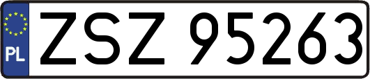 ZSZ95263