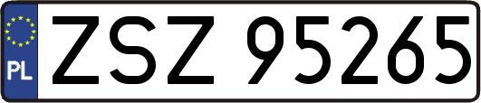 ZSZ95265