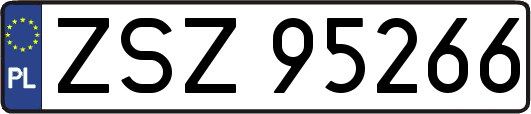 ZSZ95266