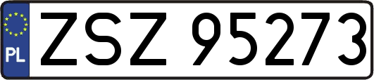 ZSZ95273