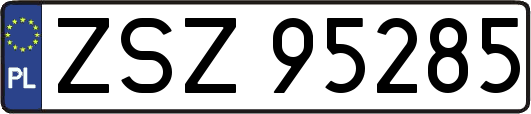 ZSZ95285
