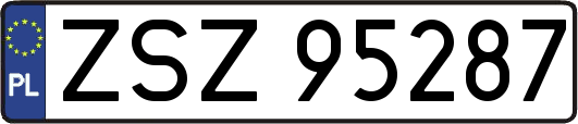 ZSZ95287