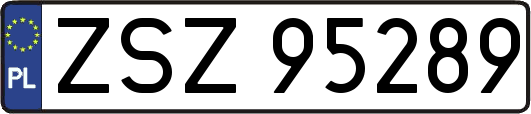 ZSZ95289