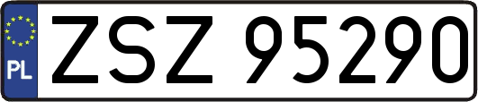 ZSZ95290
