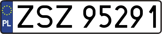 ZSZ95291